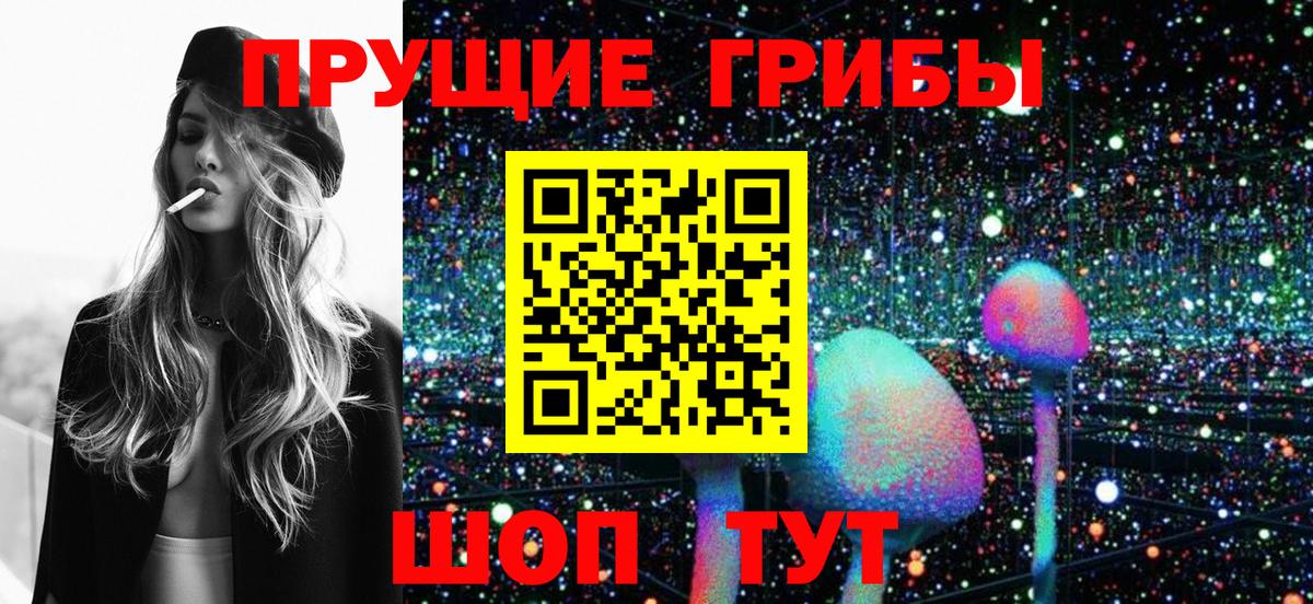 Псилоцибиновые грибы мицелий Холмск